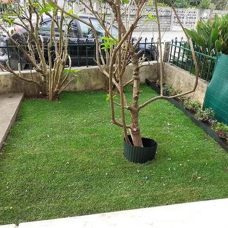 Andar Moradia Com Terraco E Patio.